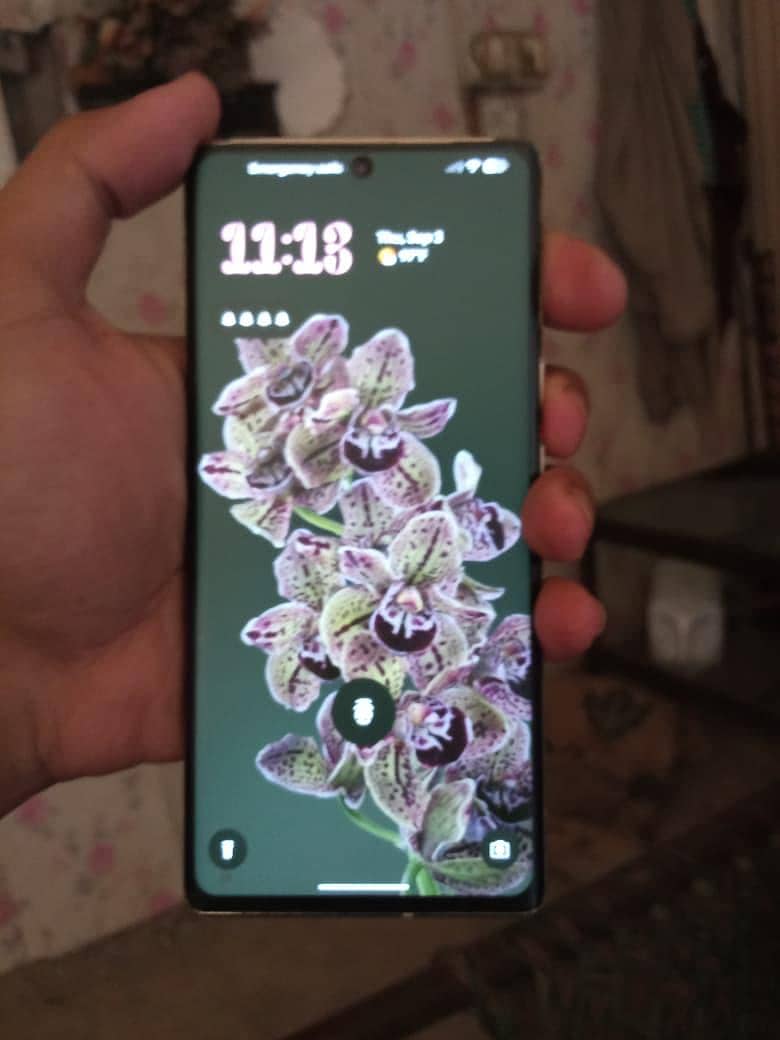 Google Pixel 6 Pro 1
