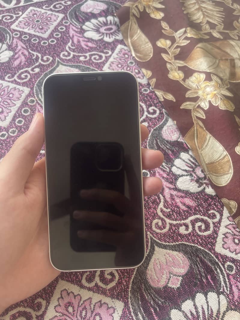 Apple iPhone 12 1