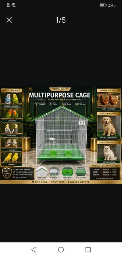 AliAli Cage Reasonable Price®