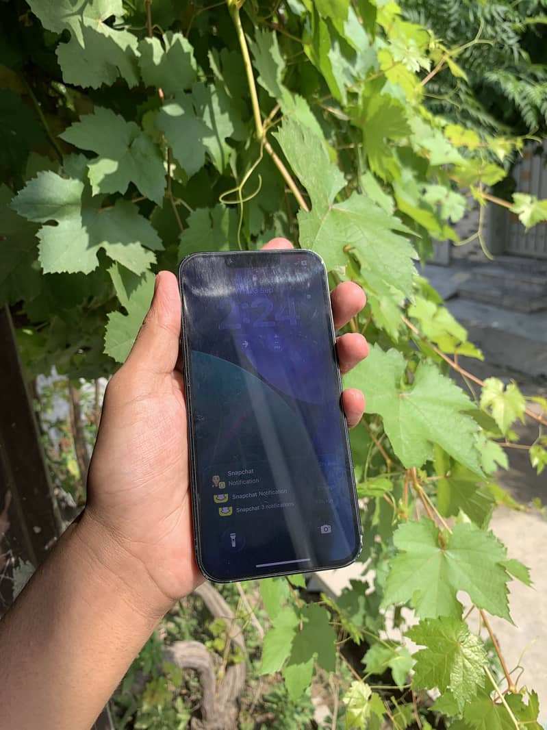 Apple iPhone 13 1