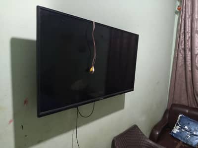 Orient 40inch For Sale