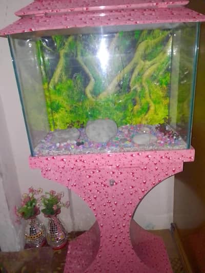 fish aquarium sell