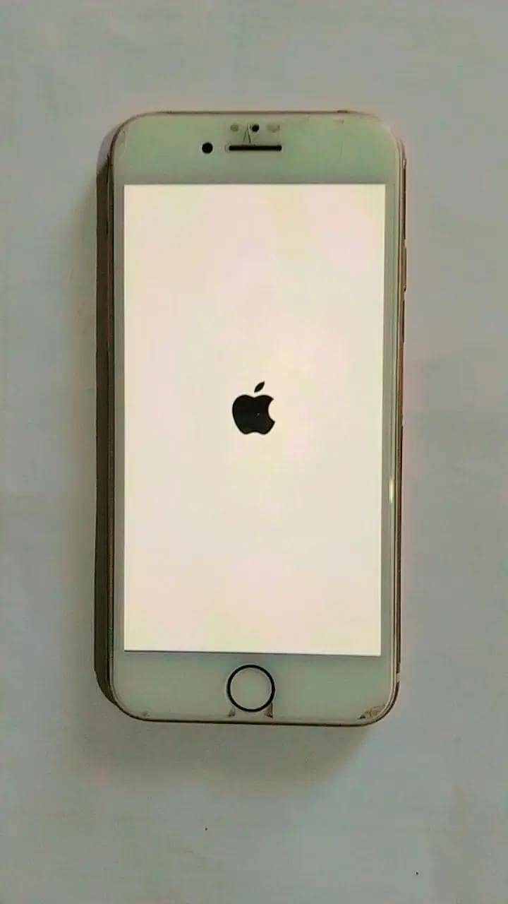 Apple iPhone 8 Plus 1