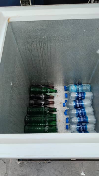 haier D freezer