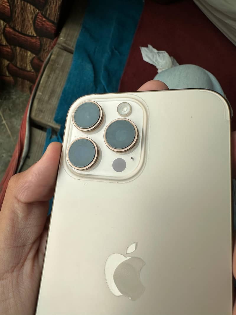 Apple iPhone 16 Pro Max 2