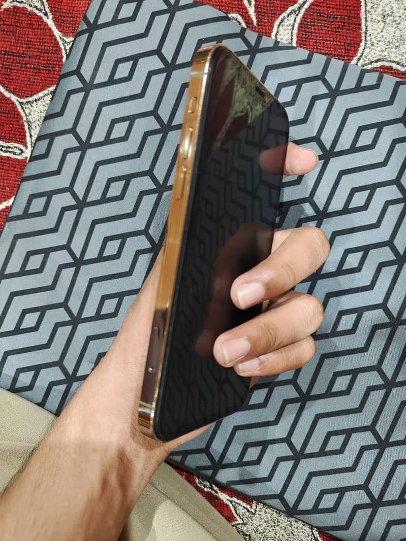 iPhone 12 Pro 2