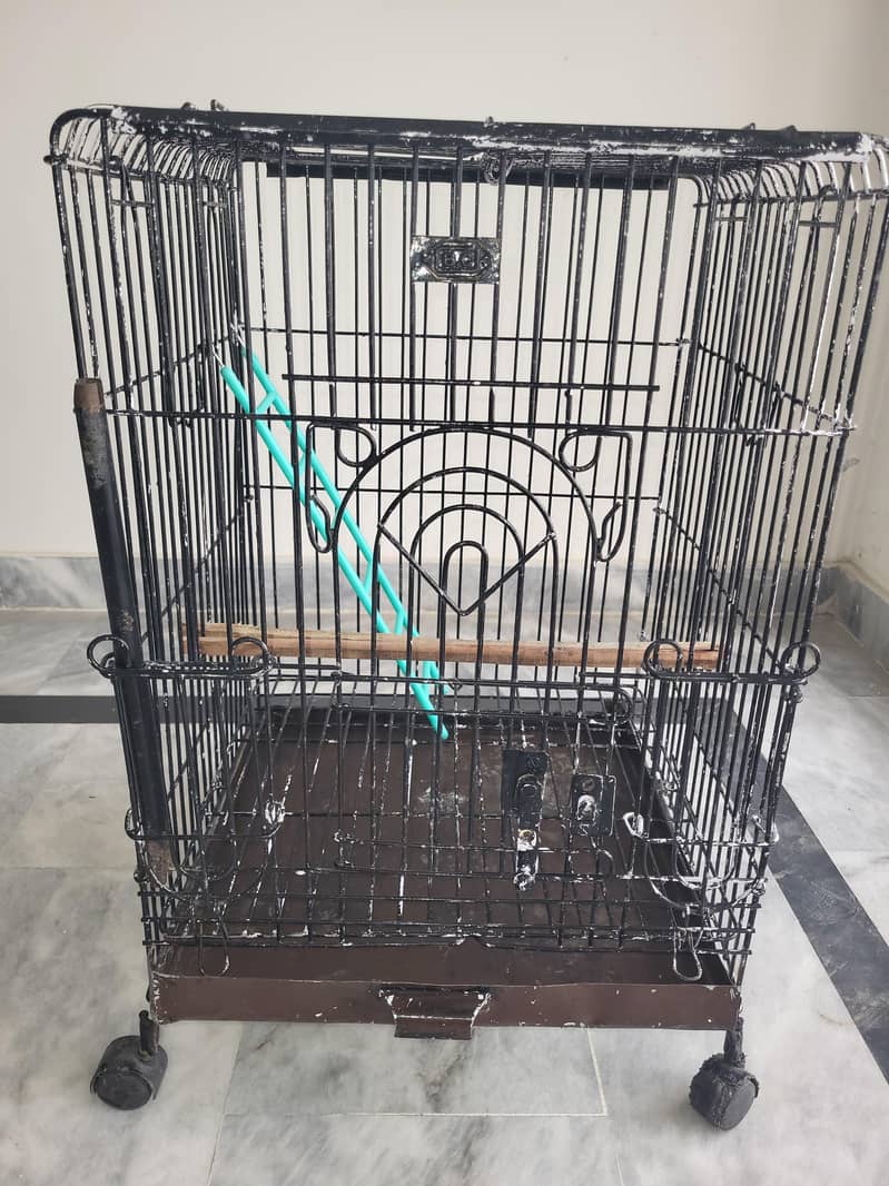 PARROT CAGE 1