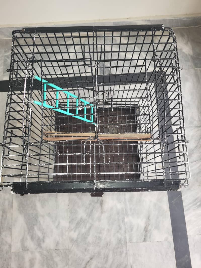 PARROT CAGE 3