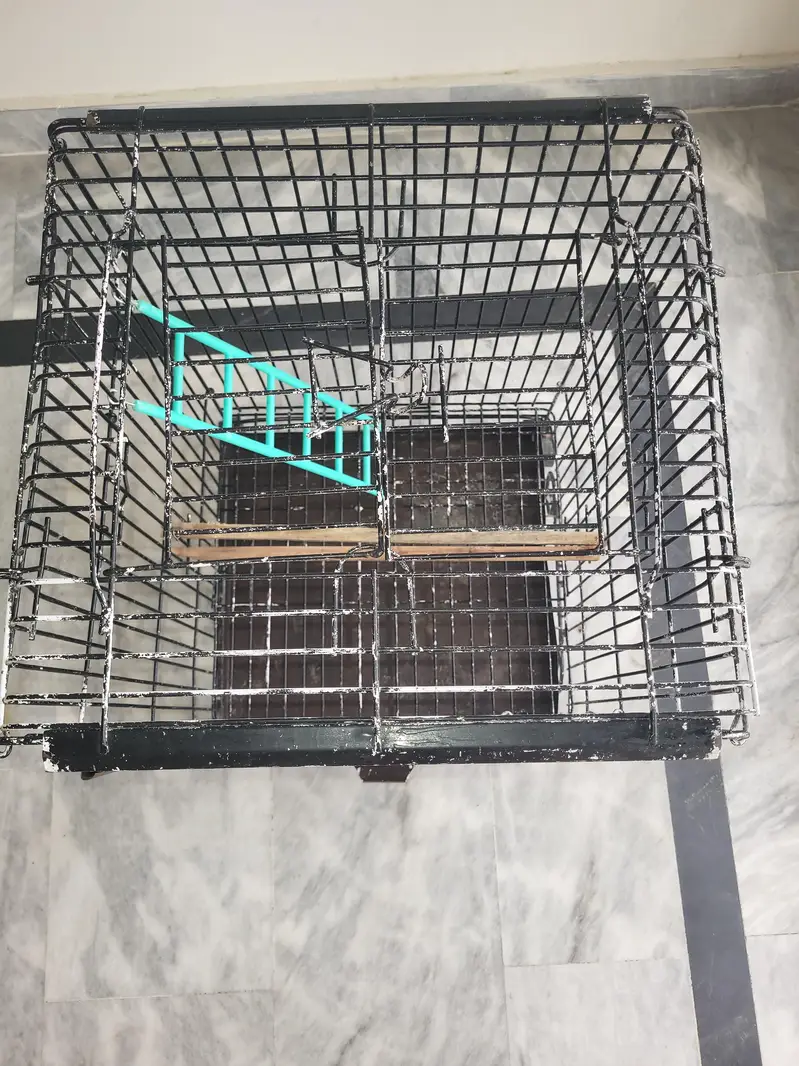 PARROT CAGE — photo 4