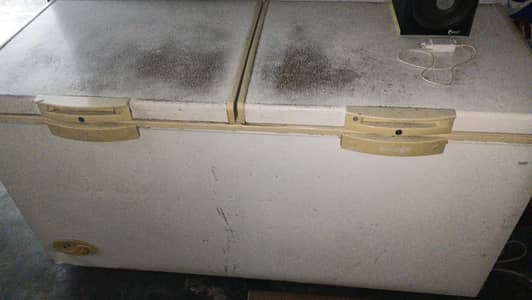 double door d freezer good condition