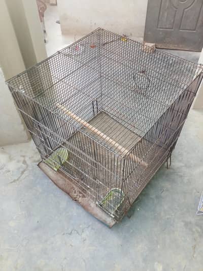 cage for sale