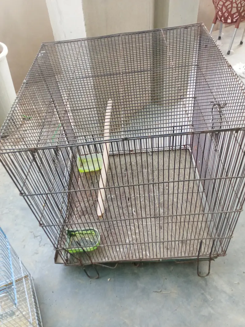 cage for sale — photo 2