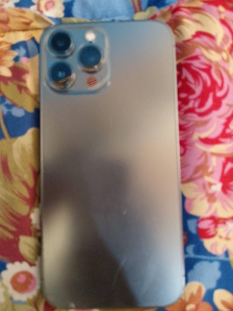 Apple iPhone 13 Pro Max 1