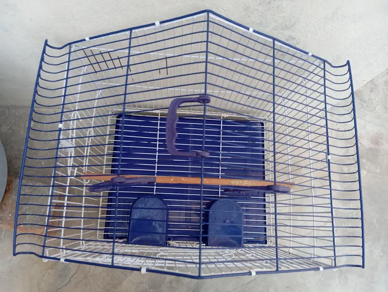 Parrot Cage — photo 2