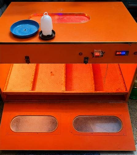 Brooder for Chicks (4 by 2 size) 1