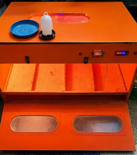 Brooder for Chicks (4 by 2 size) — photo 2