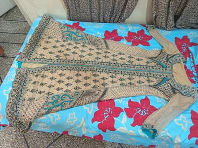 wali a maxi
