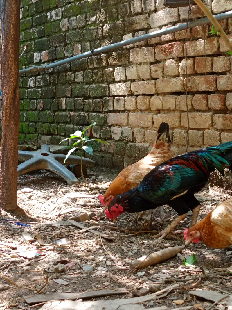 Aseel Murga — photo 5
