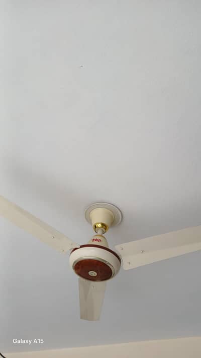 4 Cieling Fans