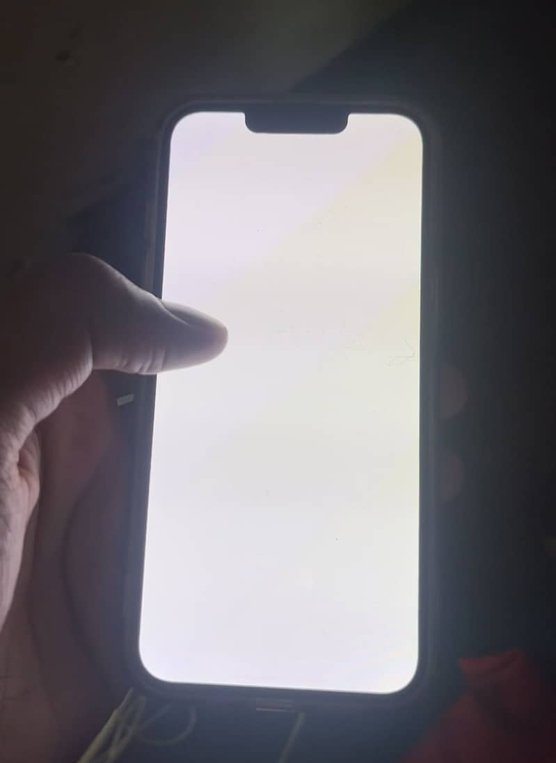 iPhone 13 pro panel only read ad 1