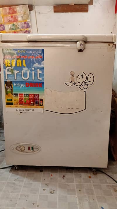 Single door deep freezer