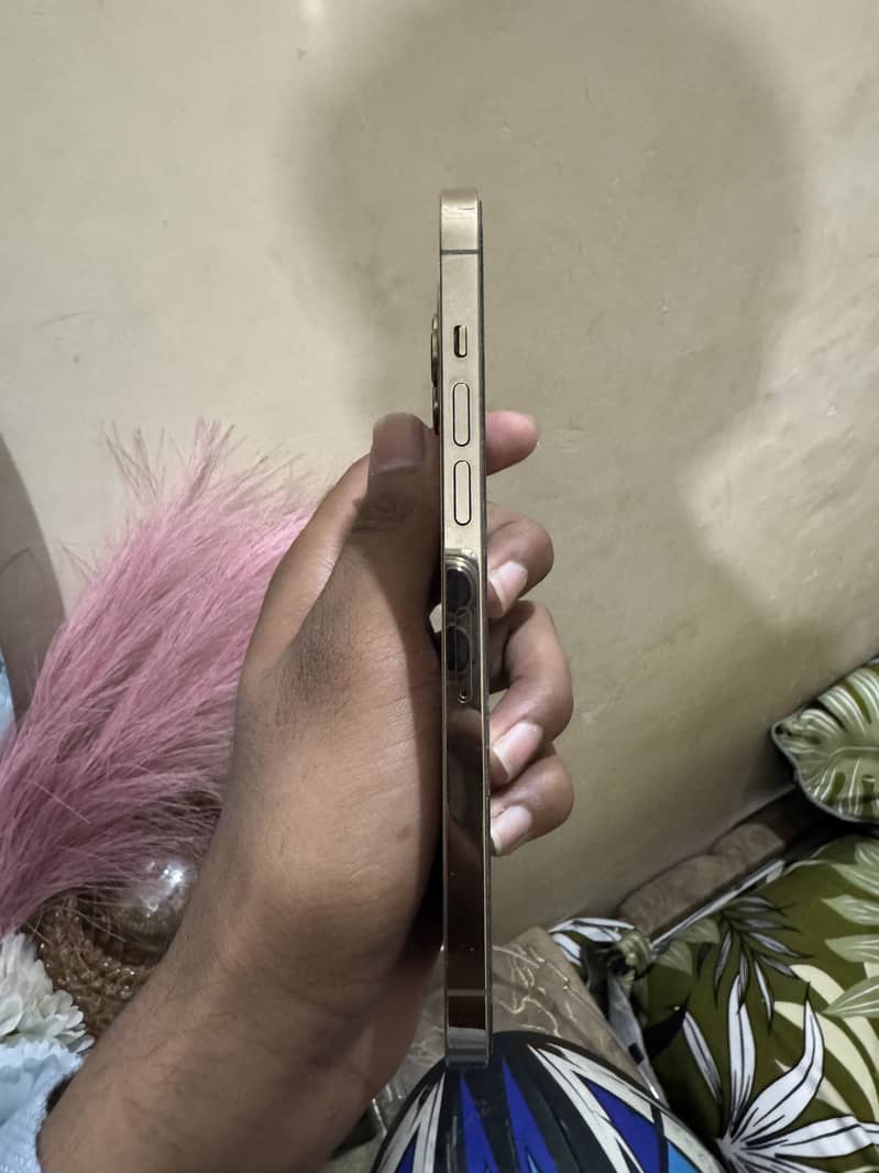 Apple iPhone 12 Pro Max 2