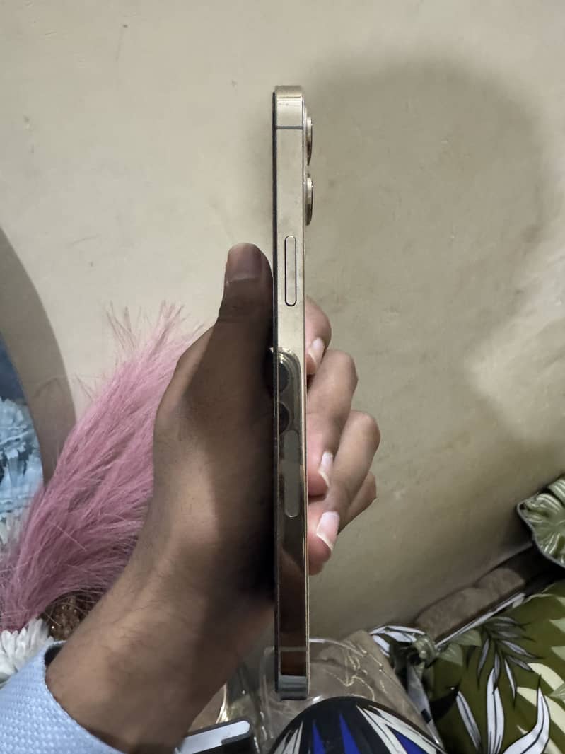 Apple iPhone 12 Pro Max 5