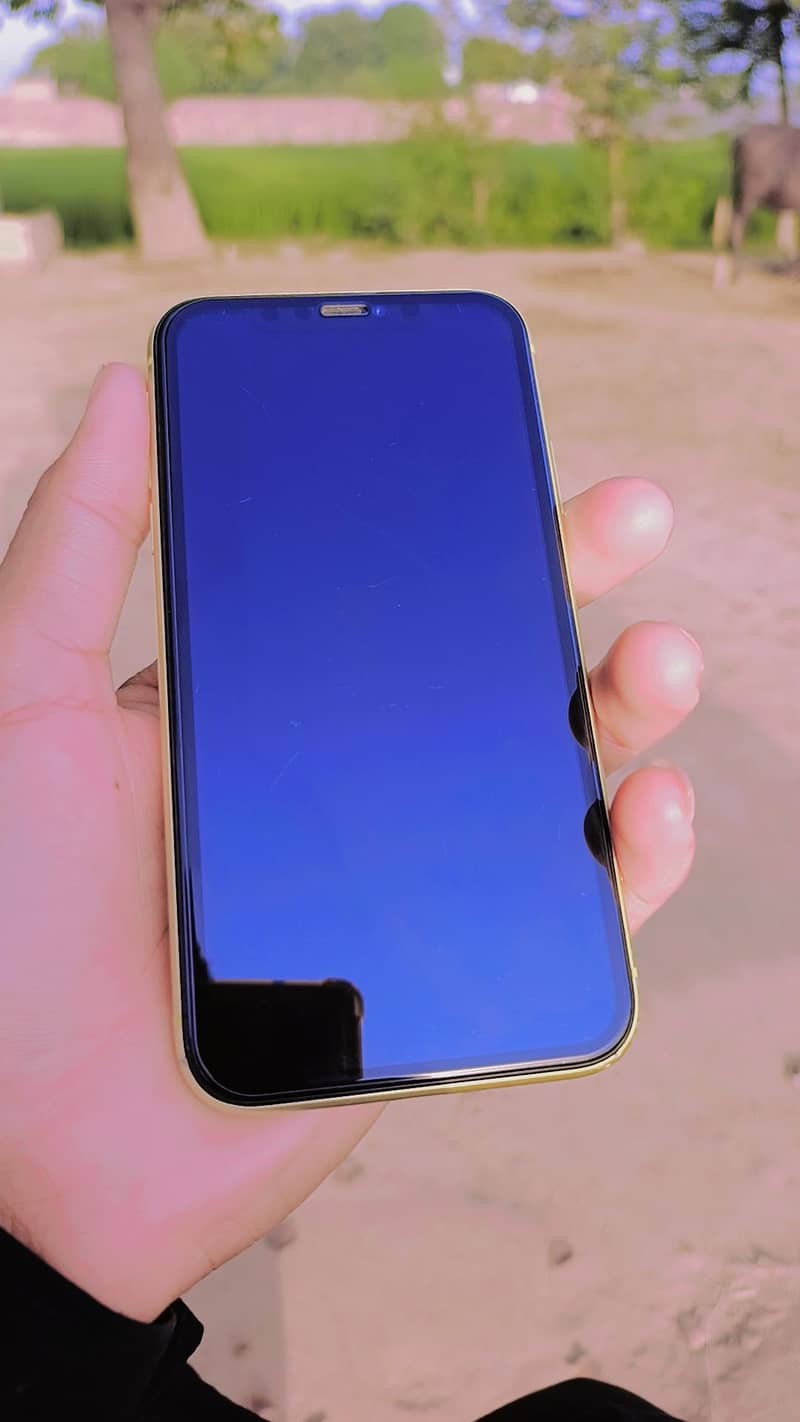 Apple iPhone 11 2