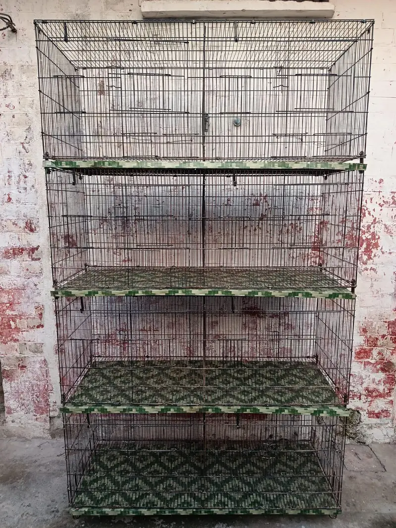 Master 8 portions folding cage size 4*1.5*1.5