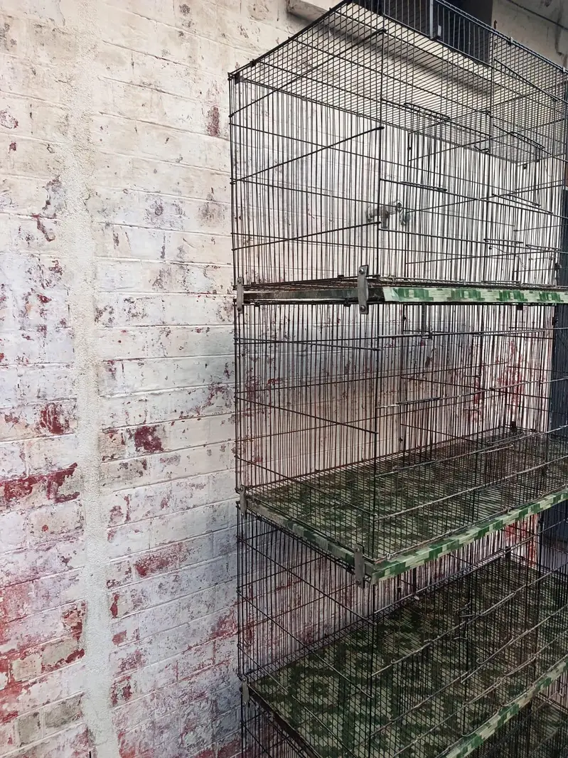 Master 8 portions folding cage size 4*1.5*1.5 — photo 2