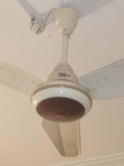Pak fan 30 watts inverter ceiling fan