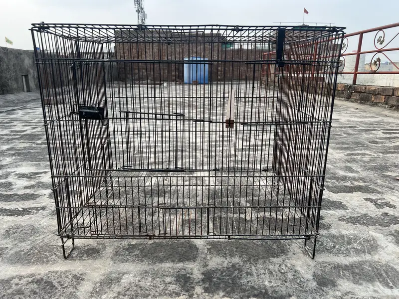 Birds cage for sale. All ok. Number 0336 4478014