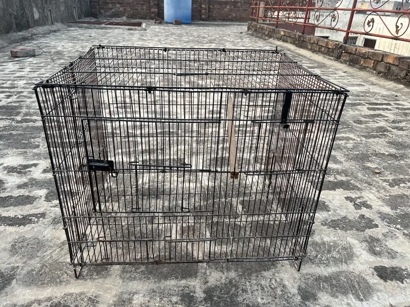Birds cage for sale. All ok. Number 0336 4478014 — photo 2