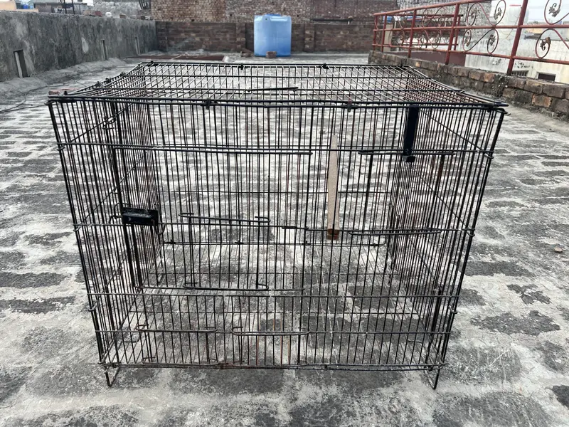 Birds cage for sale. All ok. Number 0336 4478014 — photo 3