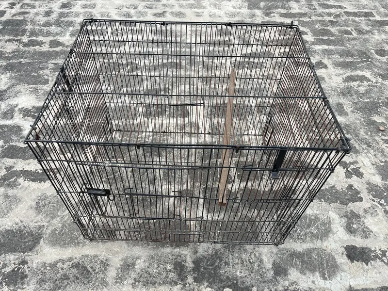 Birds cage for sale. All ok. Number 0336 4478014 — photo 4