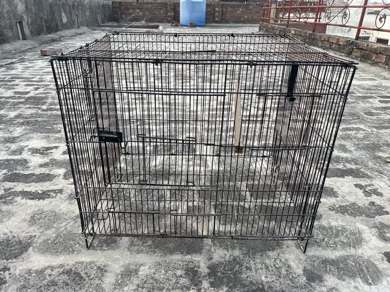 Birds cage for sale. All ok. Number 0336 4478014 — photo 5