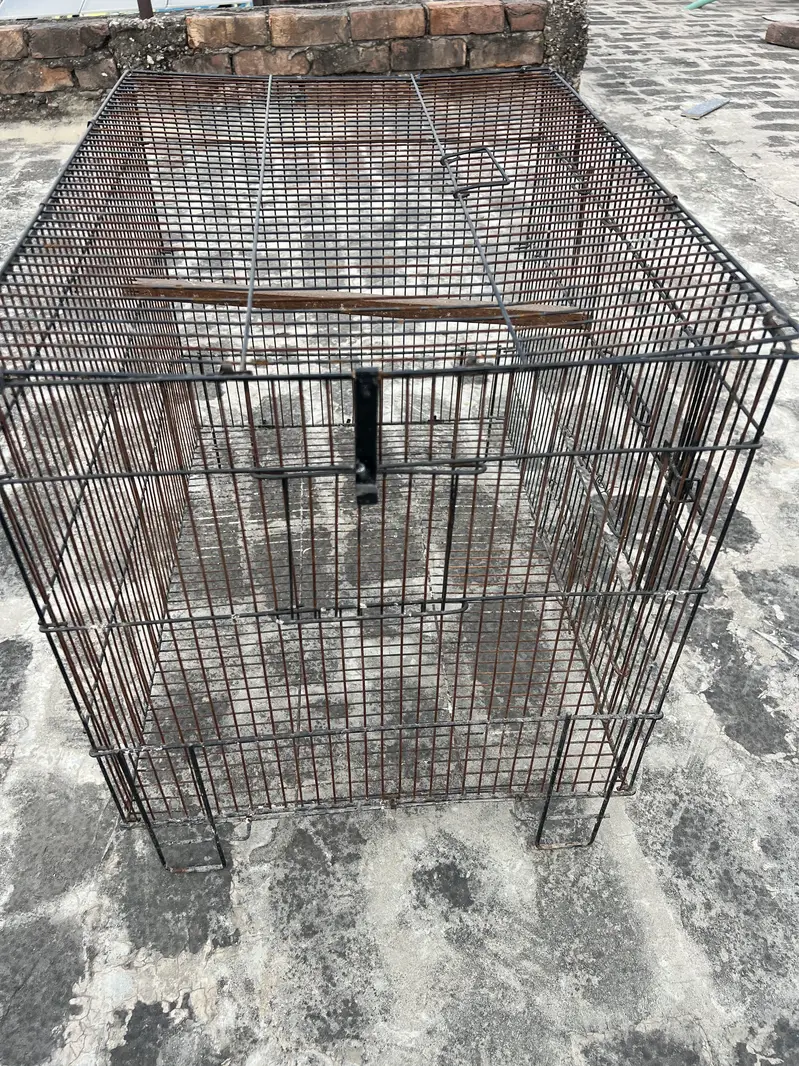 Birds cage for sale. All ok. Number 0336 4478014 — photo 6
