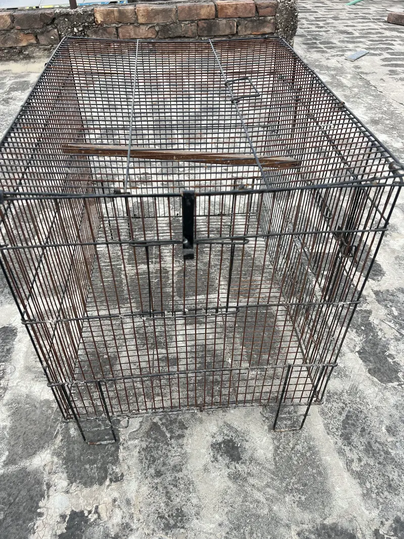 Birds cage for sale. All ok. Number 0336 4478014 — photo 7