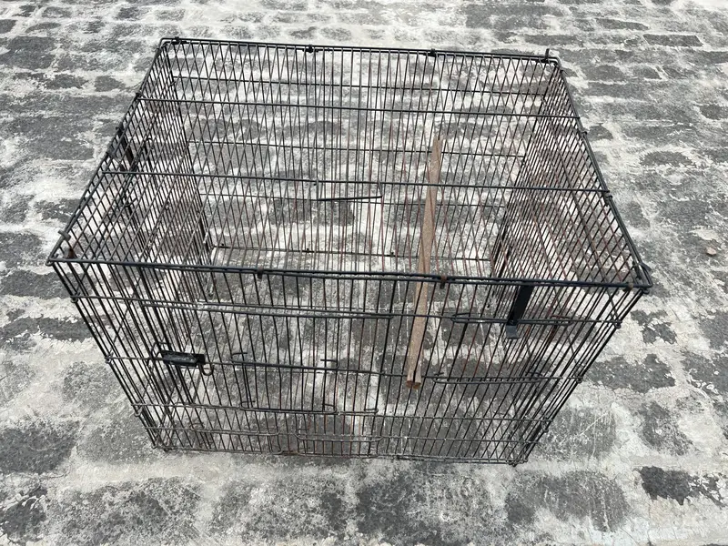 Birds cage for sale. All ok. Number 0336 4478014 — photo 8