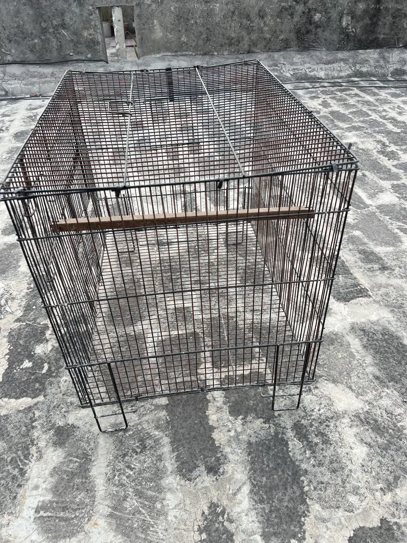 Birds cage for sale. All ok. Number 0336 4478014 — photo 9