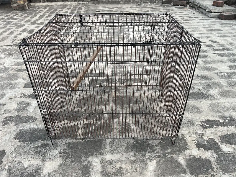Birds cage for sale. All ok. Number 0336 4478014 — photo 10