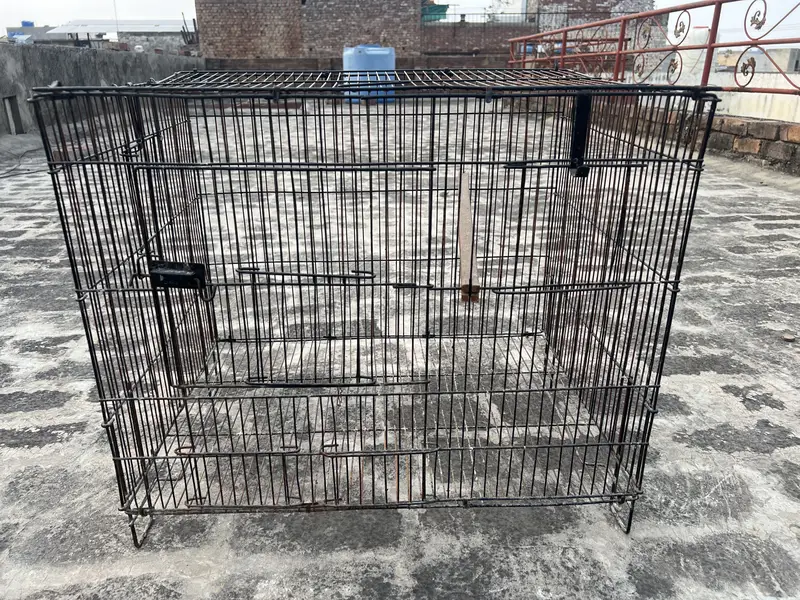 Birds cage for sale. All ok. Number 0336 4478014 — photo 11