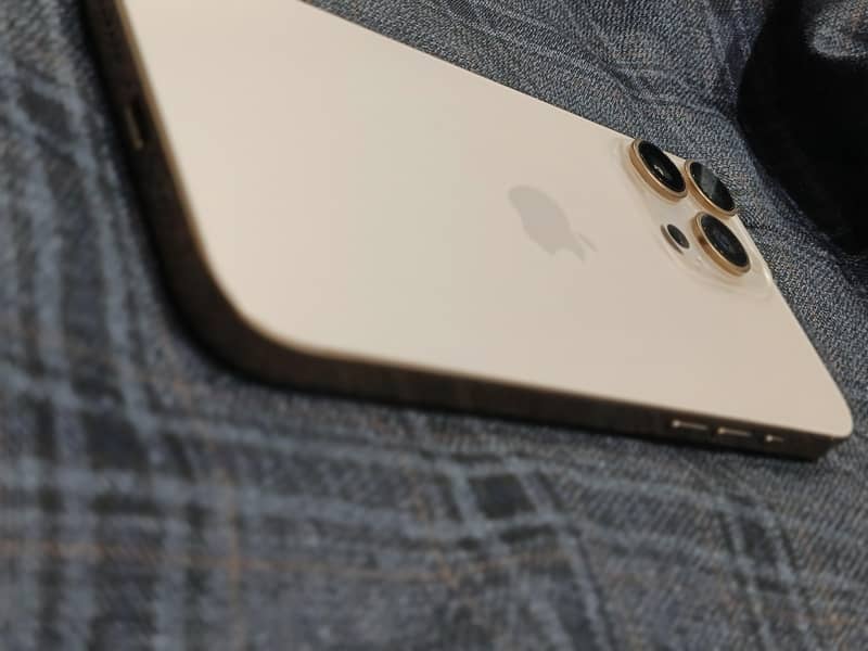 Apple iPhone 16 Pro Max 1
