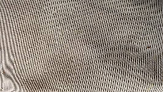wool carpet for sale