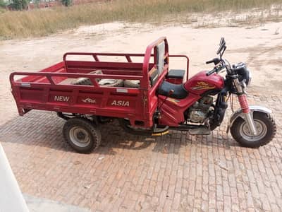New asia loader riksha