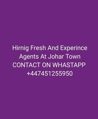 Call Center Agent