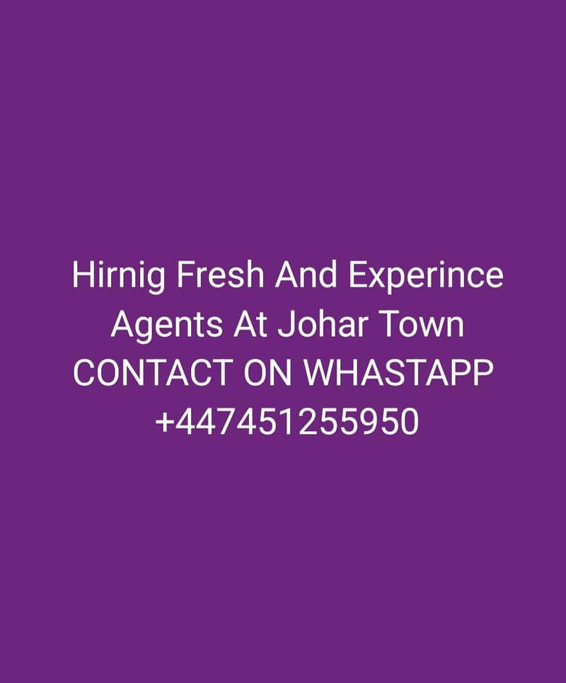 Call Center Agent 0