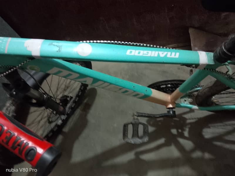 Imported Frame bicycle 1