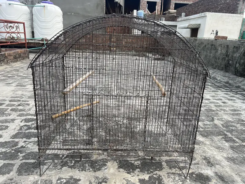 Birds D cage for sale. All ok No Damage. Number 0336 4478014