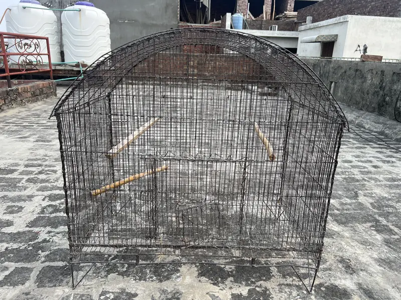 Birds D cage for sale. All ok No Damage. Number 0336 4478014 — photo 2